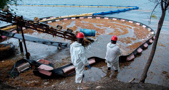 Autoridades  y generadoras se preparan ante nueva oleada de sargazo