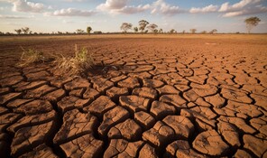 El calor extremo y las sequ&iacute;as ser&aacute;n cinco veces m&aacute;s frecuentes al final del siglo