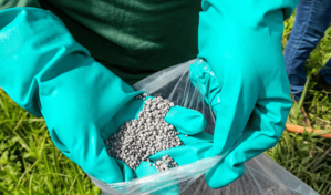 El subsidio a los fertilizantes mantendr&aacute; fijos sus precios en el mercado local hasta el 31 de mayo