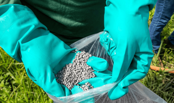 El subsidio a los fertilizantes mantendr&aacute; fijos sus precios en el mercado local hasta el 31 de mayo