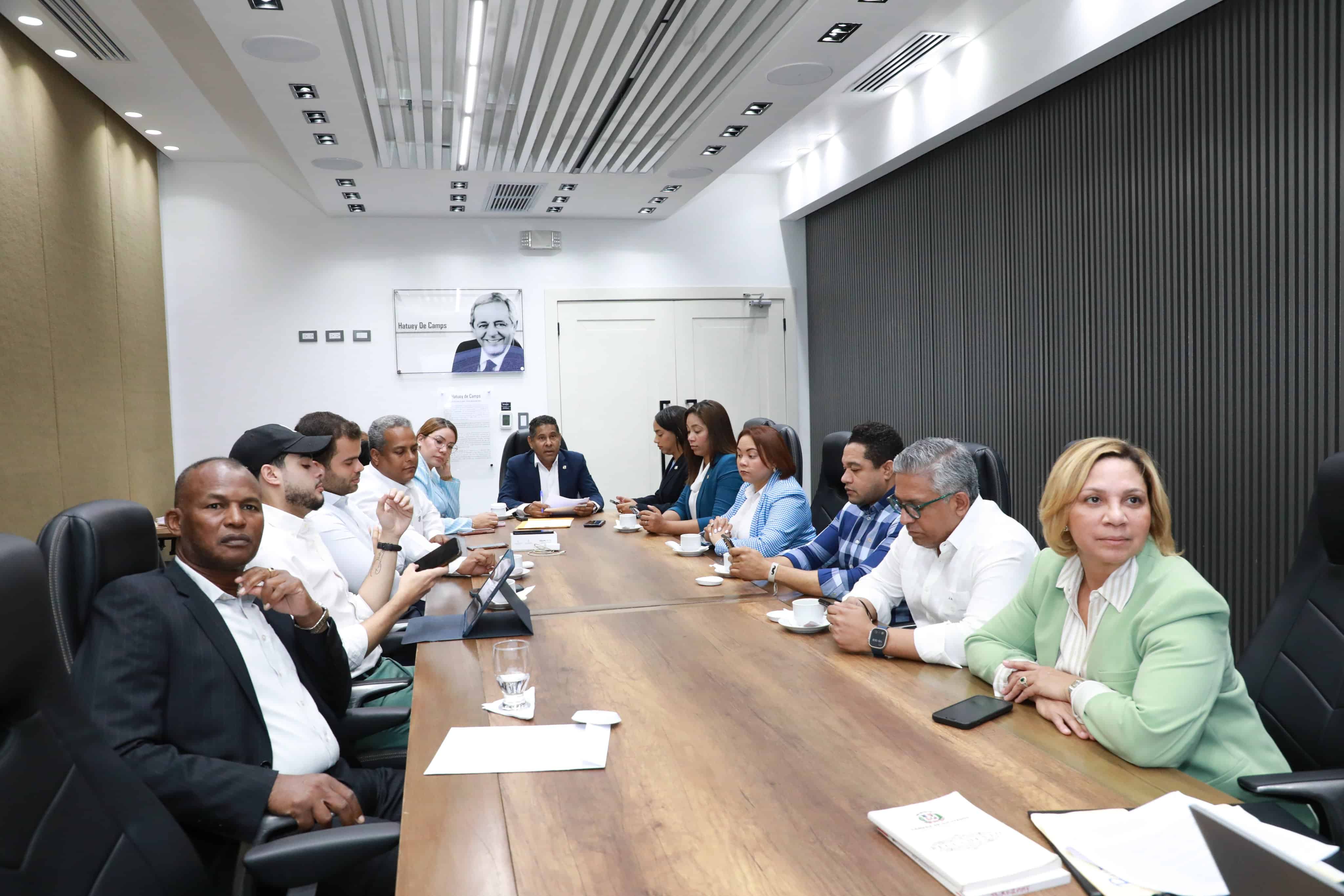 C&aacute;mara de Diputados aprueba acuerdo que permitir&iacute;a vuelos entre RD y Arabia Saudita