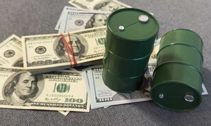 Patrones del petr&oacute;leo