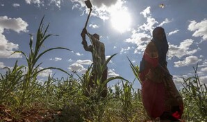 La ONU alerta de que al menos dos millones de somal&iacute;es sufren hambre aguda por la sequ&iacute;a