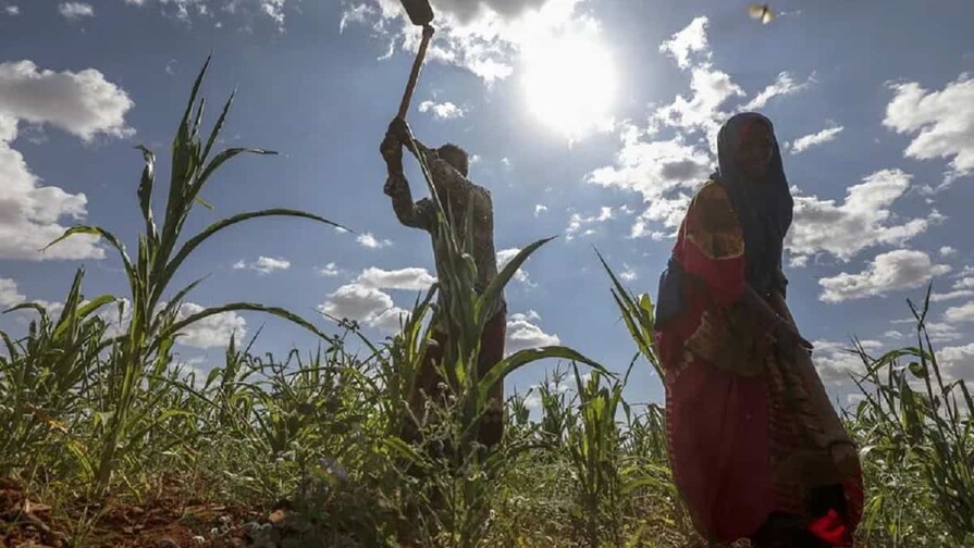 La ONU alerta de que al menos dos millones de somal&iacute;es sufren hambre aguda por la sequ&iacute;a