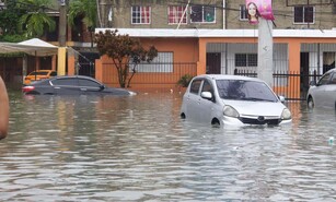 No las necesitamos