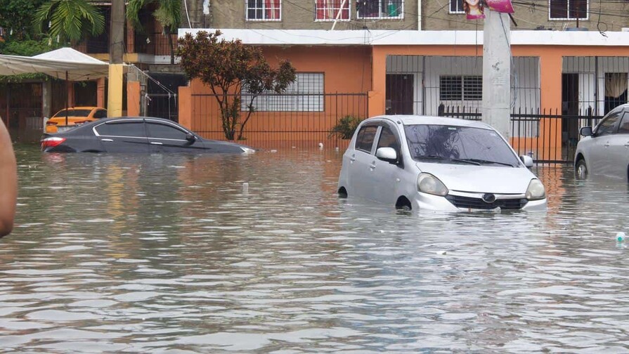 No las necesitamos