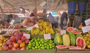 Cuba abre el comercio de productos agr&iacute;colas al sector privado