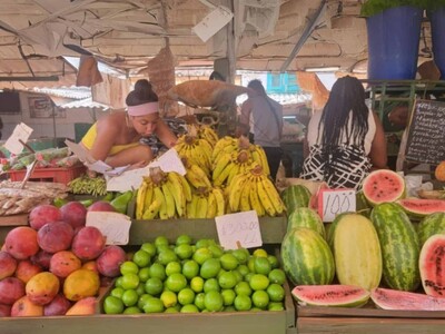 Cuba abre comercio de productos agrícolas al sector privado