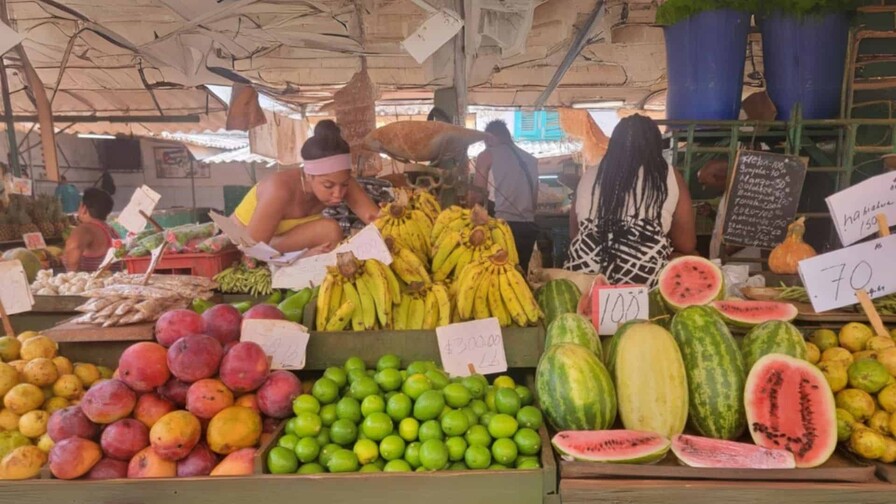 Cuba abre el comercio de productos agr&iacute;colas al sector privado