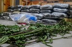 La DNCD ocupa 133 paquetes de marihuana en el Puerto de Haina Oriental La DNCD ocupa 133 paquetes de marihuana en el Puerto de Haina Oriental