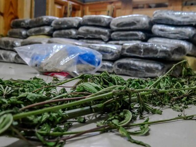 Incautan alijo de drogas con 613 libras en Elías Piña