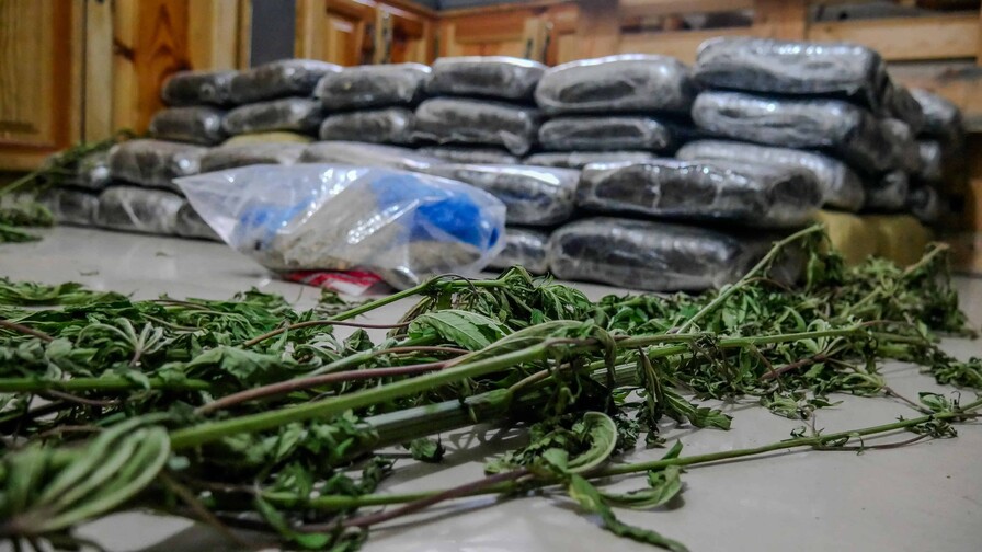 Autoridades incautan alijo de 613 libras de marihuana durante allanamientos en Elías Piña