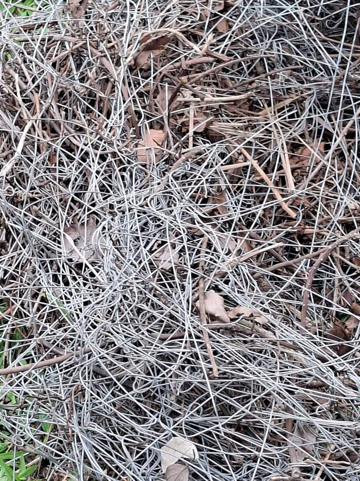 Nido de cigua palmera construido con alambre y fibras naturales.