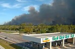 Un incendio forestal afecta 141 hectáreas en el suroeste de Florida Un incendio forestal afecta 141 hectáreas en el suroeste de Florida