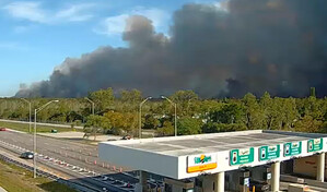 Un incendio forestal afecta 141 hect&aacute;reas en el suroeste de Florida