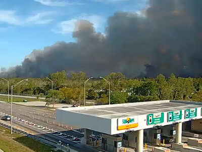 Incendio forestal afecta 141 hectáreas en el suroeste de Florida