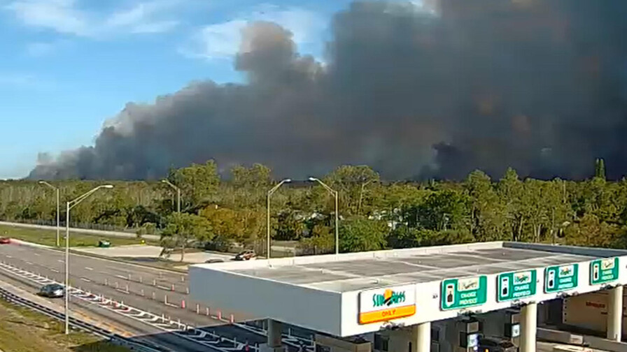 Un incendio forestal afecta 141 hectáreas en el suroeste de Florida Un incendio forestal afecta 141 hectáreas en el suroeste de Florida