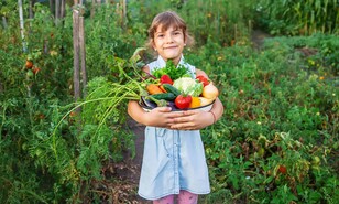 Libres para elegir: el poder de los alimentos como medicina