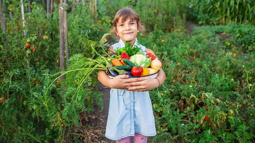 Libres para elegir: el poder de los alimentos como medicina Libres para elegir: el poder de los alimentos como medicina