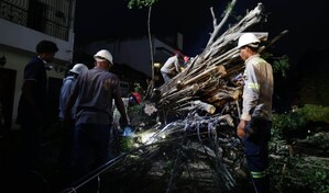 &Aacute;rboles ca&iacute;dos afectan veh&iacute;culos y el tendido el&eacute;ctrico en la Zona Colonial