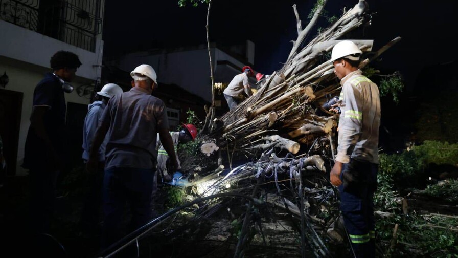 &Aacute;rboles ca&iacute;dos afectan veh&iacute;culos y el tendido el&eacute;ctrico en la Zona Colonial