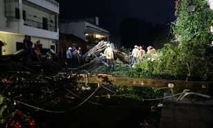 Veh&iacute;culos destruidos, &aacute;rboles y postes el&eacute;ctricos ca&iacute;dos por lluvias en el Gran Santo Domingo