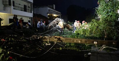 Veh&iacute;culos destruidos, &aacute;rboles y postes el&eacute;ctricos ca&iacute;dos por lluvias en el Gran Santo Domingo