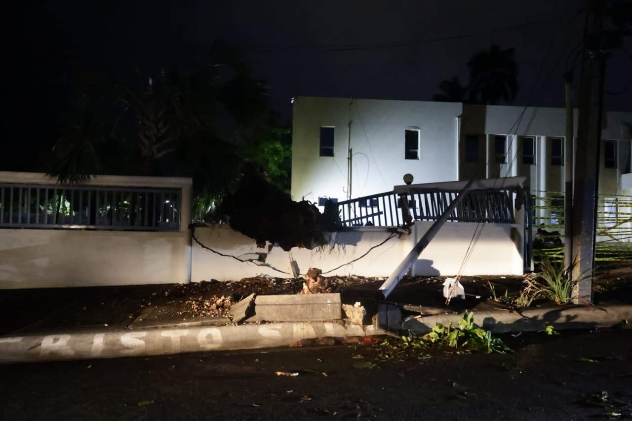 Pared del Ministerio de Cultura afectada por &aacute;rbol y l&aacute;mpara que le cayeron encima.