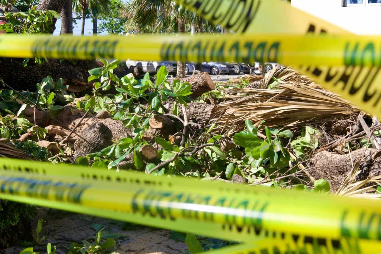 Árbol caído derribó parte de la pared y el portón del Ministerio de Cultura, dejando escombros y la zona acordonada tras las fuertes lluvias.