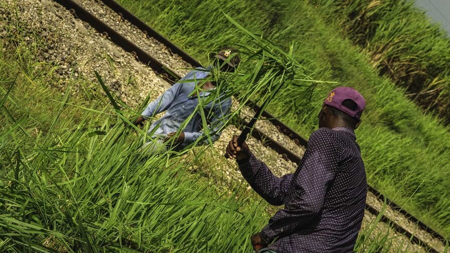 Cuando el Estado sanciona lo imposible