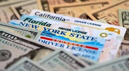 Licencias de conducir de Florida mostrar&aacute;n estatus de ciudadan&iacute;a en EE. UU. a partir de 2027