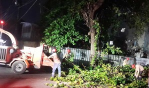 Edesur poda y retira árboles tras lluvias caídas en el Gran Santo Domingo