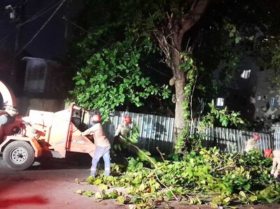 Operativo de poda Edesur para restablecer servicio eléctrico
