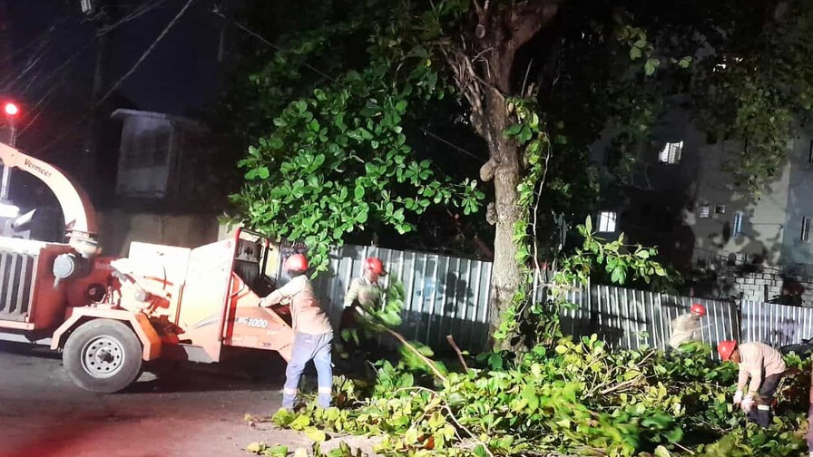 Edesur poda y retira árboles tras lluvias caídas en el Gran Santo Domingo