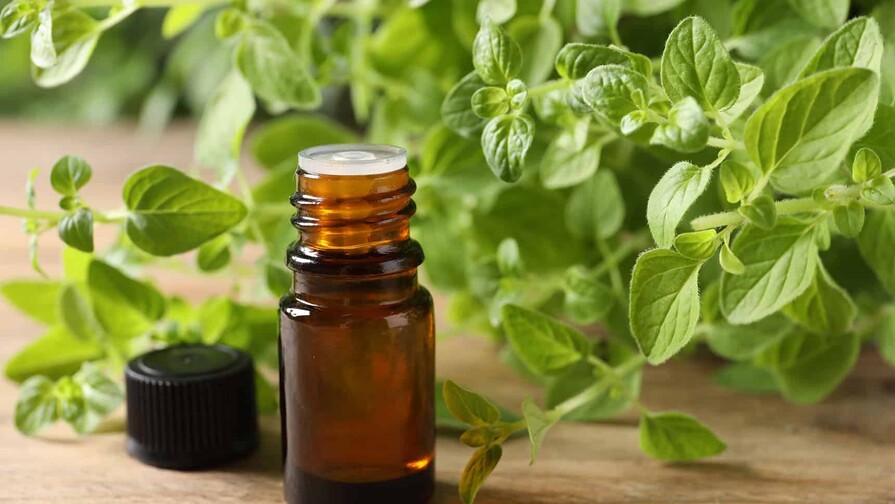 &iquest;Y si el aceite de or&eacute;gano est&aacute; empeorando tu intestino en vez de ayudarlo?