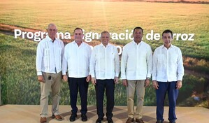 Banreservas destina RD$12,000 millones para financiar la producci&oacute;n de arroz 2026-2027