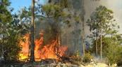Cient&iacute;ficos temen un a&ntilde;o particularmente severo en cuanto a incendios en el mundo