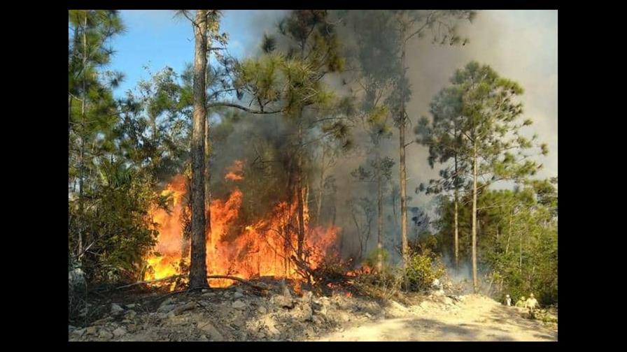 Dos incendios en el oeste de Cuba arrasan ya 600 hectáreas de bosque Dos incendios en el oeste de Cuba arrasan ya 600 hectáreas de bosque