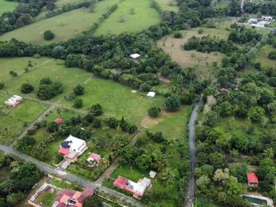 ¿Quiénes no pueden participar en la subasta de bienes incautados?