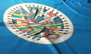 El 14 de abril en la OEA