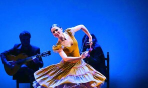 Estrellas de la danza mundial bailan por una causa solidaria