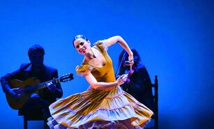 Estrellas de la danza mundial bailan por una causa solidaria