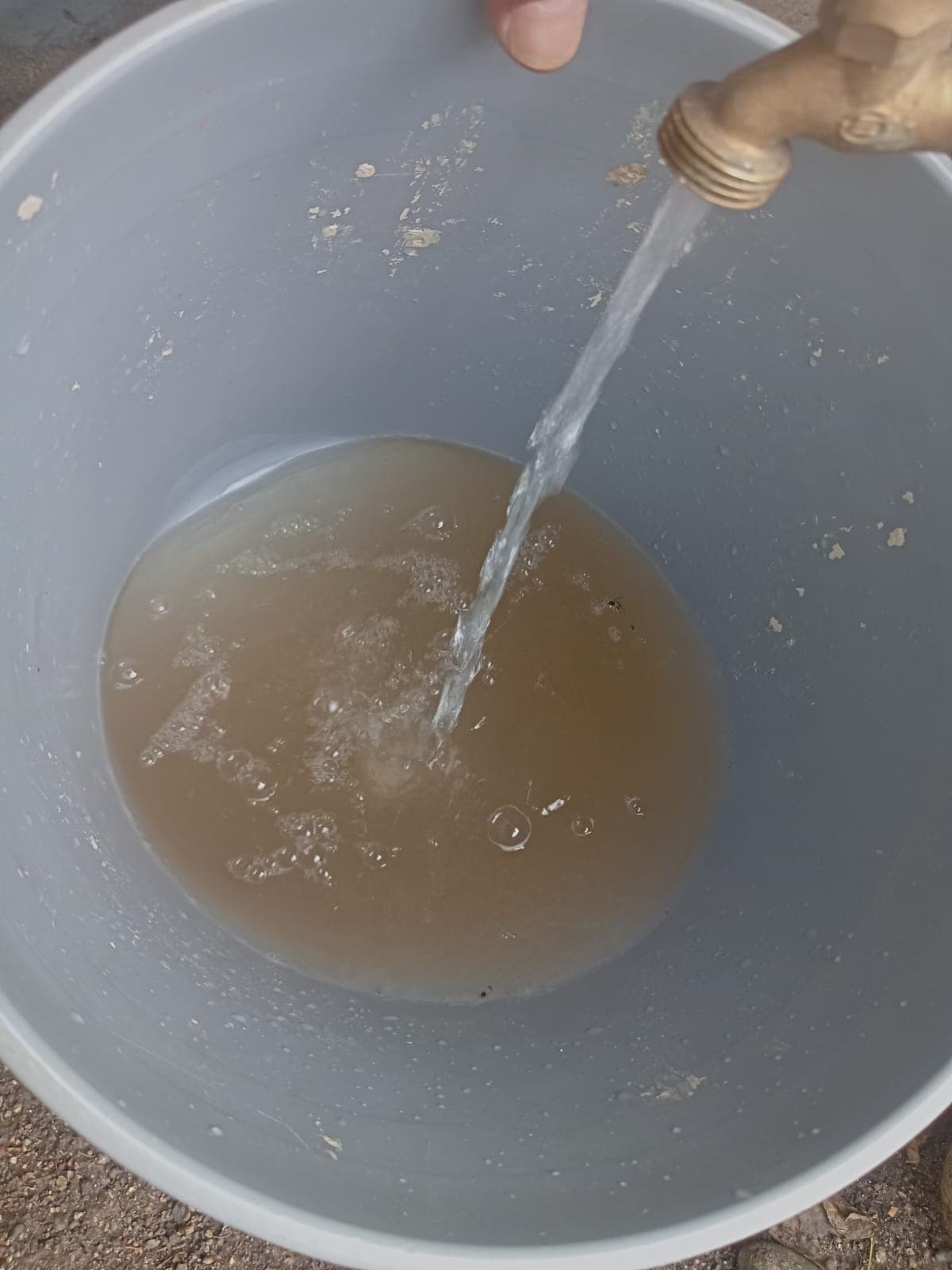 El agua muestra una coloraci&oacute;n oscura.