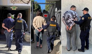 Sentencian a tres personas por simular ataques de un oso a sus autos para cobrar el seguro