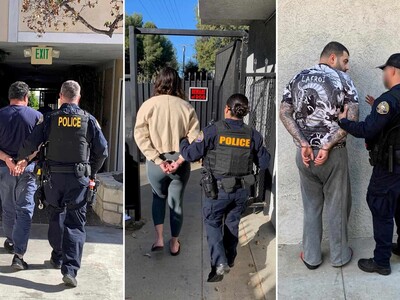 California: 3 condenados por simular ataques de un oso a sus autos