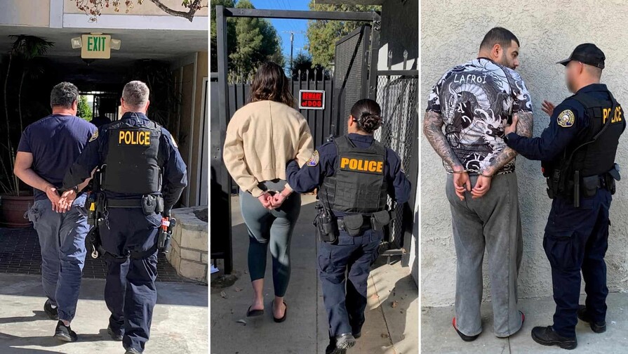 Sentencian a tres personas por simular ataques de un oso a sus autos para cobrar el seguro