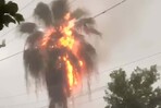 Rayo impacta palmera, la incendia y una parte en llamas cae sobre una casa, provocando un siniestro