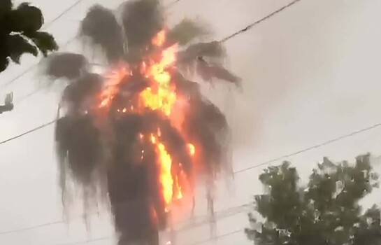 Rayo impacta palmera, la incendia y una parte en llamas cae sobre una casa, provocando un siniestro