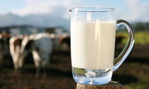 La leche dominicana y la productividad como una decisi&oacute;n de pa&iacute;s