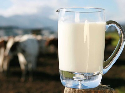 La leche dominicana y la productividad como decisión de país